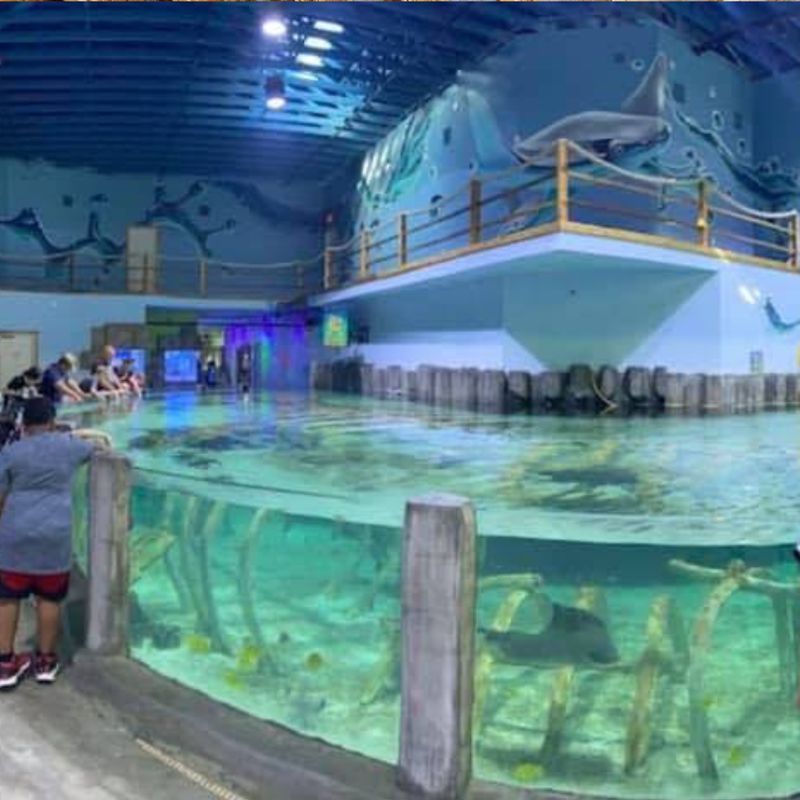 Owner User Aquarium - Houston, TX