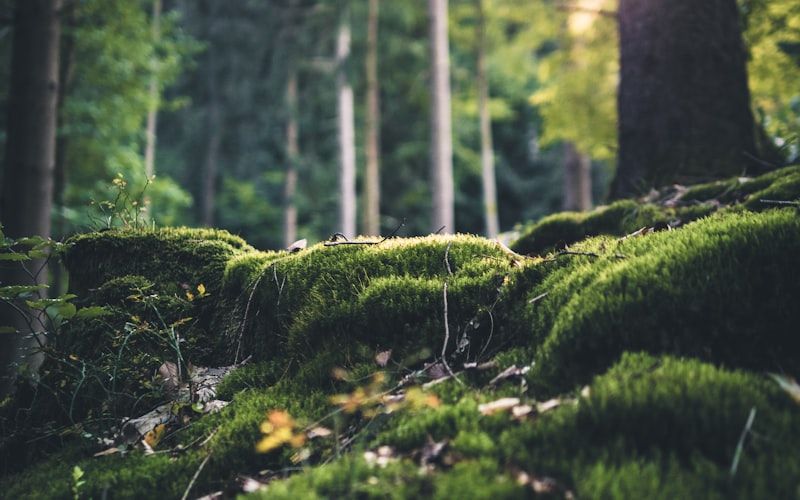 Medical Office - Washington, DC